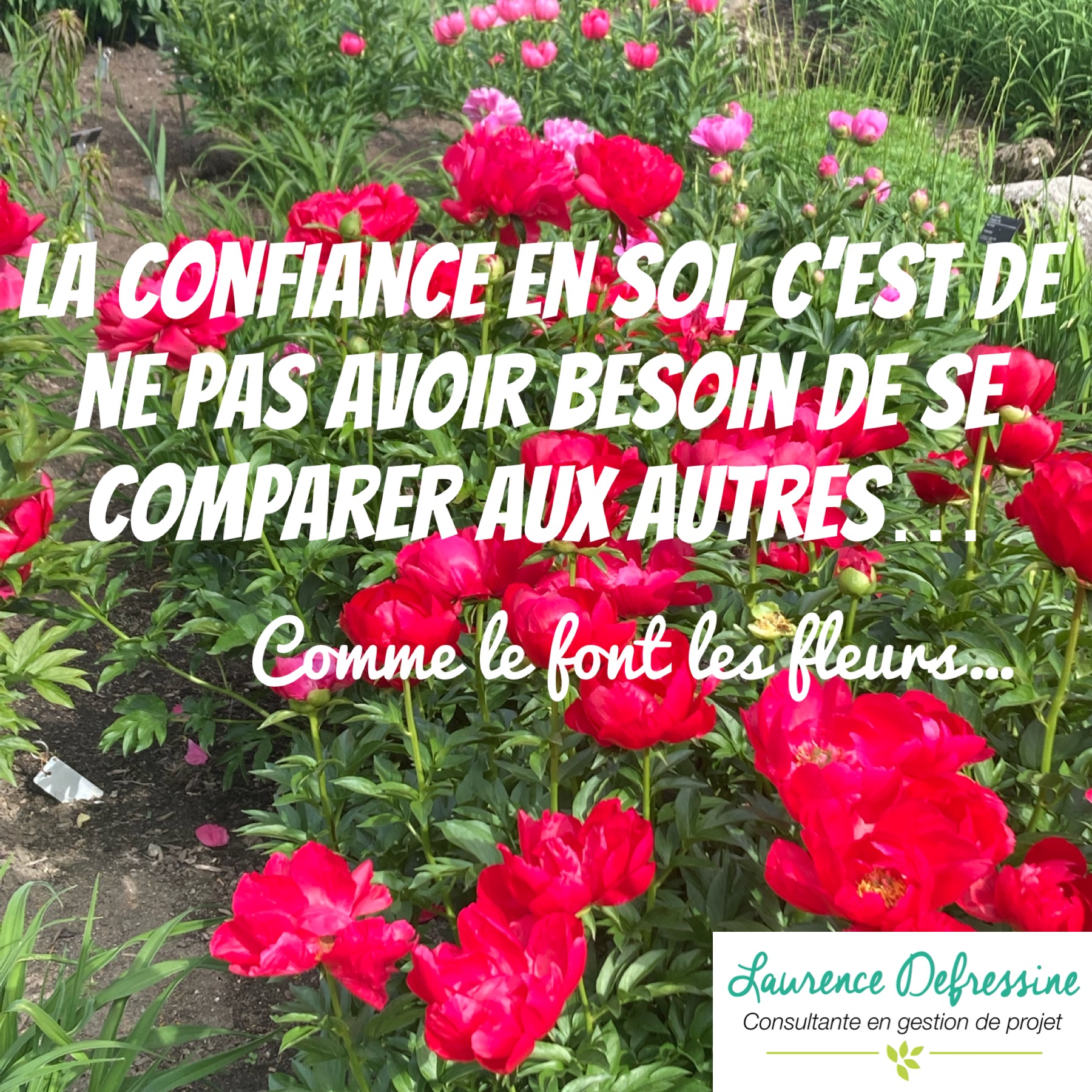 Confiance